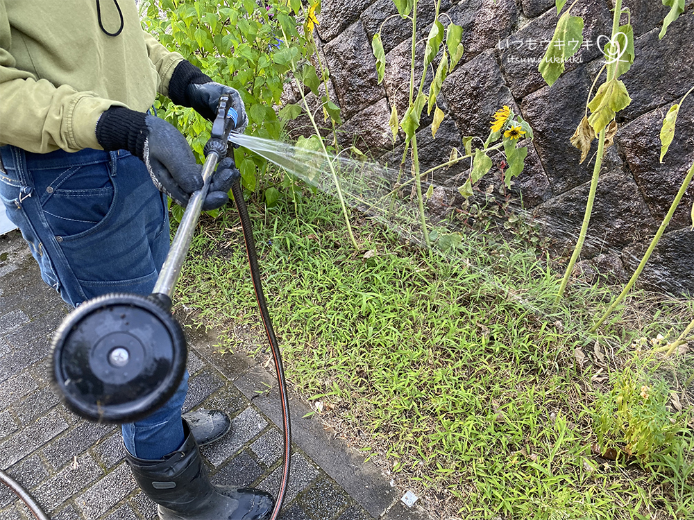 破れた散水ノズルから水が飛び出している様子
