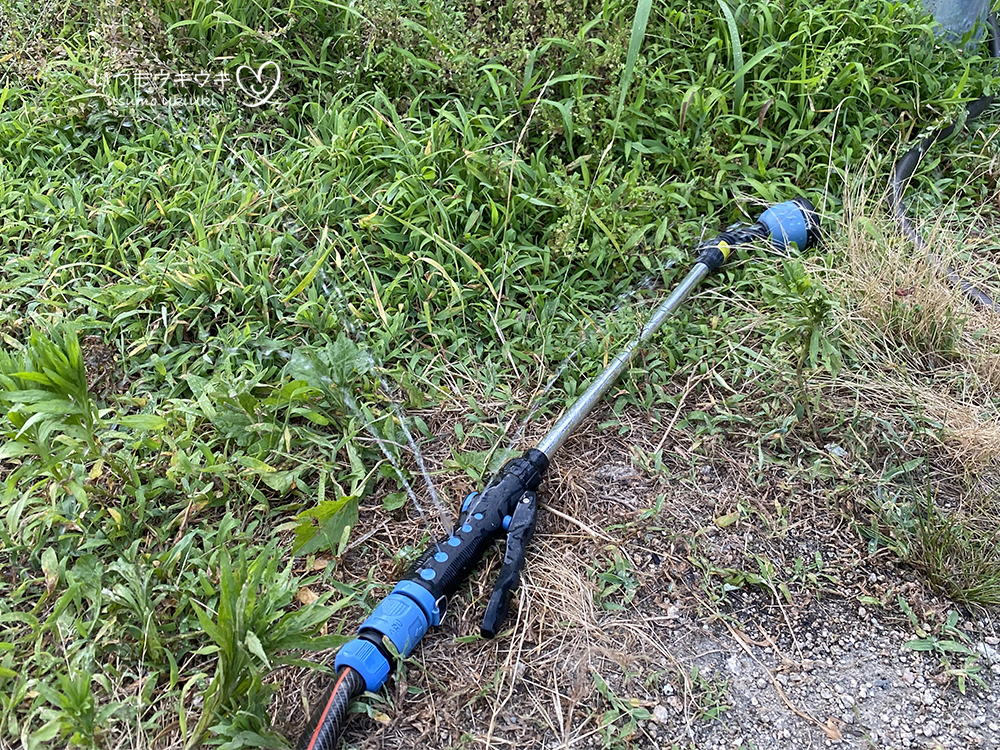 破れた散水ノズルから水が飛び出している様子